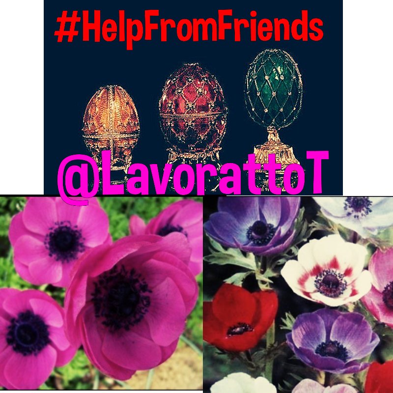 <a href="/LavorattoT/">💫HelpFromFriends 434K💫</a> #HelpFromFriends 
🔻🔻🔻🔻🔻🔻🔻
#TEAMSTALLION
#1DDrive 
🔻🔻🔻
<a href="/LavorattoT/">💫HelpFromFriends 434K💫</a> 
<a href="/_Carol2018/">🌊 🏖☀️උ✿ṛƱໄ☀️🏖 🌊 #CₐᵣₒₗGₐᵢₙ</a> 
<a href="/mvf7186/">#TmSofia</a> 
<a href="/DanielJakov/">Jakov  * #FollowHelp *</a> 
<a href="/jlferguson50/">Joe ☞#eReferenceDesk</a> 
@am102358 
<a href="/SimpleGain/">LOLA Follow Help 287k</a> 
@tinatwitte482 
<a href="/vinaymishra1961/">VINAY</a>
<a href="/Luca25__/">✷✾しµඋA✾✷ #Cαrσℓgαiท ✿</a> 
🔺🔺🔺
TURN ON MY NOTIFICATIONS
FOLLOW ALL WHO LIKES AND RT THIS
GANA SEGURO