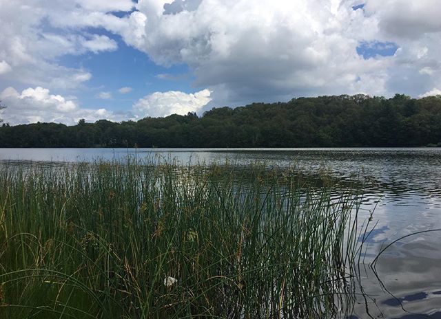 Coes pond a couple weeks agoCoes pond a couple weeks ago