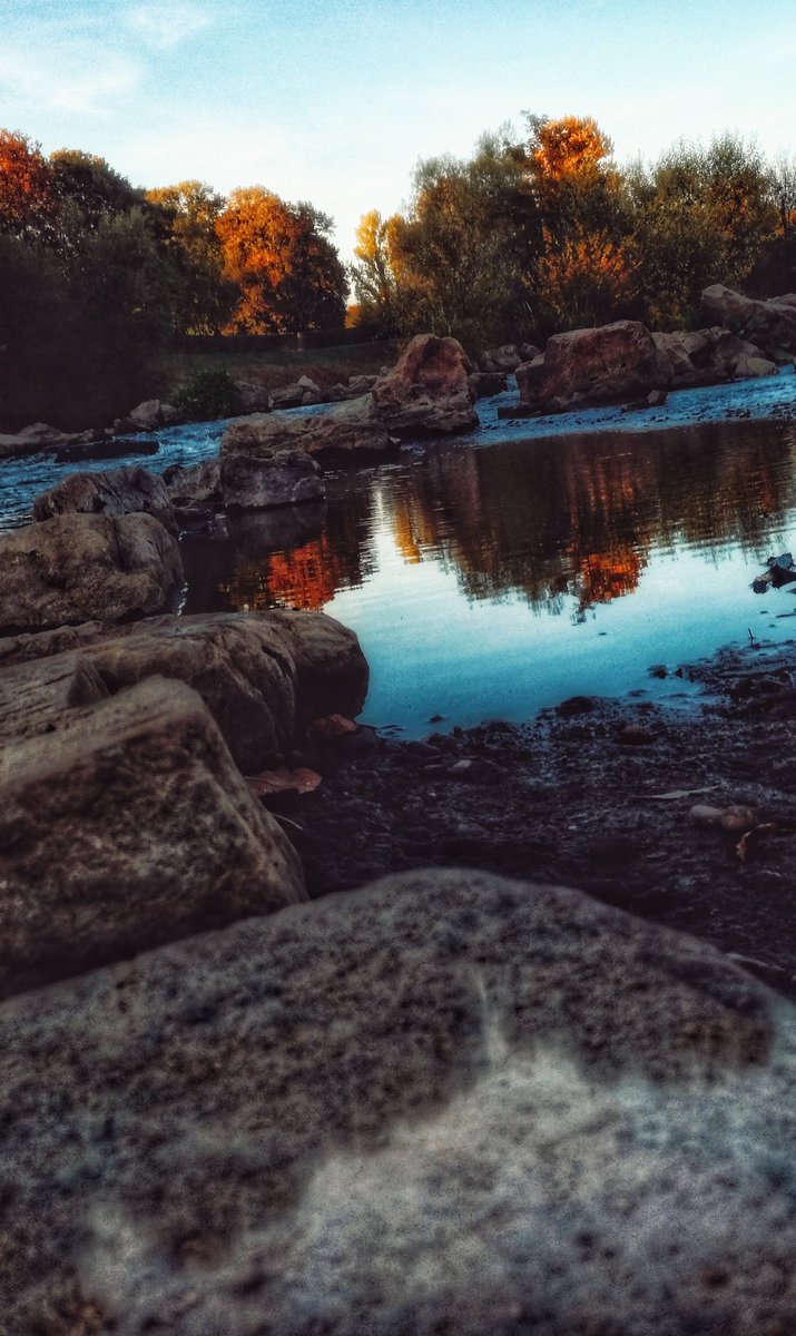 drogi_z's tweet photo. Today awesome photo shoot . Made by me 🐾🍀♥
 .
#soulecting #Spiritual #mindfulness  #quotes #nature #naturelovers #motherhood #Welthundetag #picoftheday #photography #FridayMotivation #fitness #OutOfOurHeads  #Spirituality #SpiritofLife18 https://t.co/YxPcQNsL5x