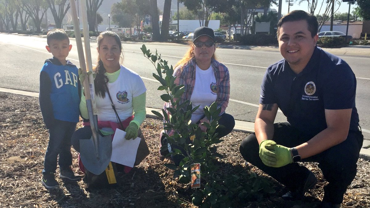 SenCervantes's tweet photo. #TeamCervantes was out bright &amp; early planting fruit trees along Mission Blvd., creating an “edible path to school.” Thanks to Healthy Jurupa Valley &amp; our local businesses, students &amp; families in #JurupaValley will soon be able to enjoy a healthy snack🍊 at arms reach! #AD60 https://t.co/Bro9dVJhEo