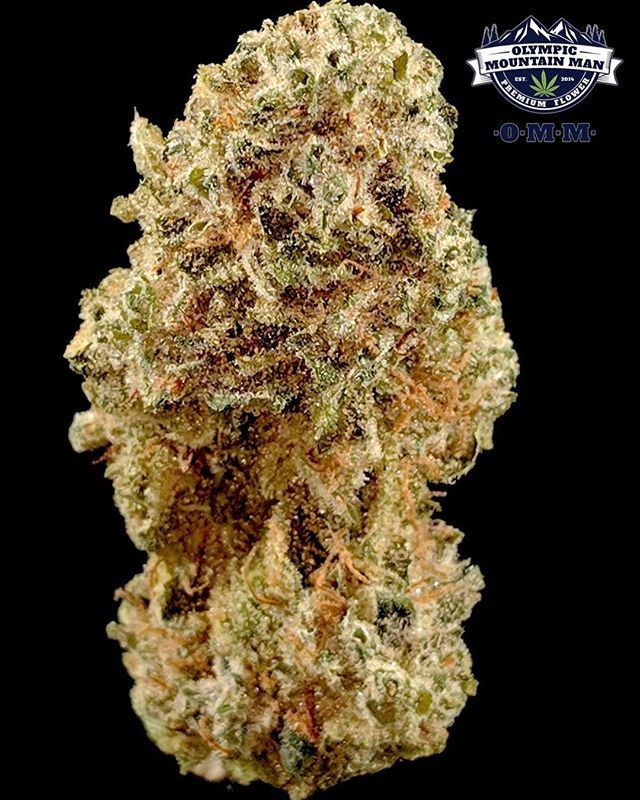 *New Strain Alert!* Amnesia - Sativa. Cross of two different Amnesia Hazes. Similar to it’s parent genetics, yet with just a touch more citrus and cedar. This strain’s uplifting cerebral buzz makes it ideal to shed stress while staying productive and ale… ift.tt/2Eg3Fah