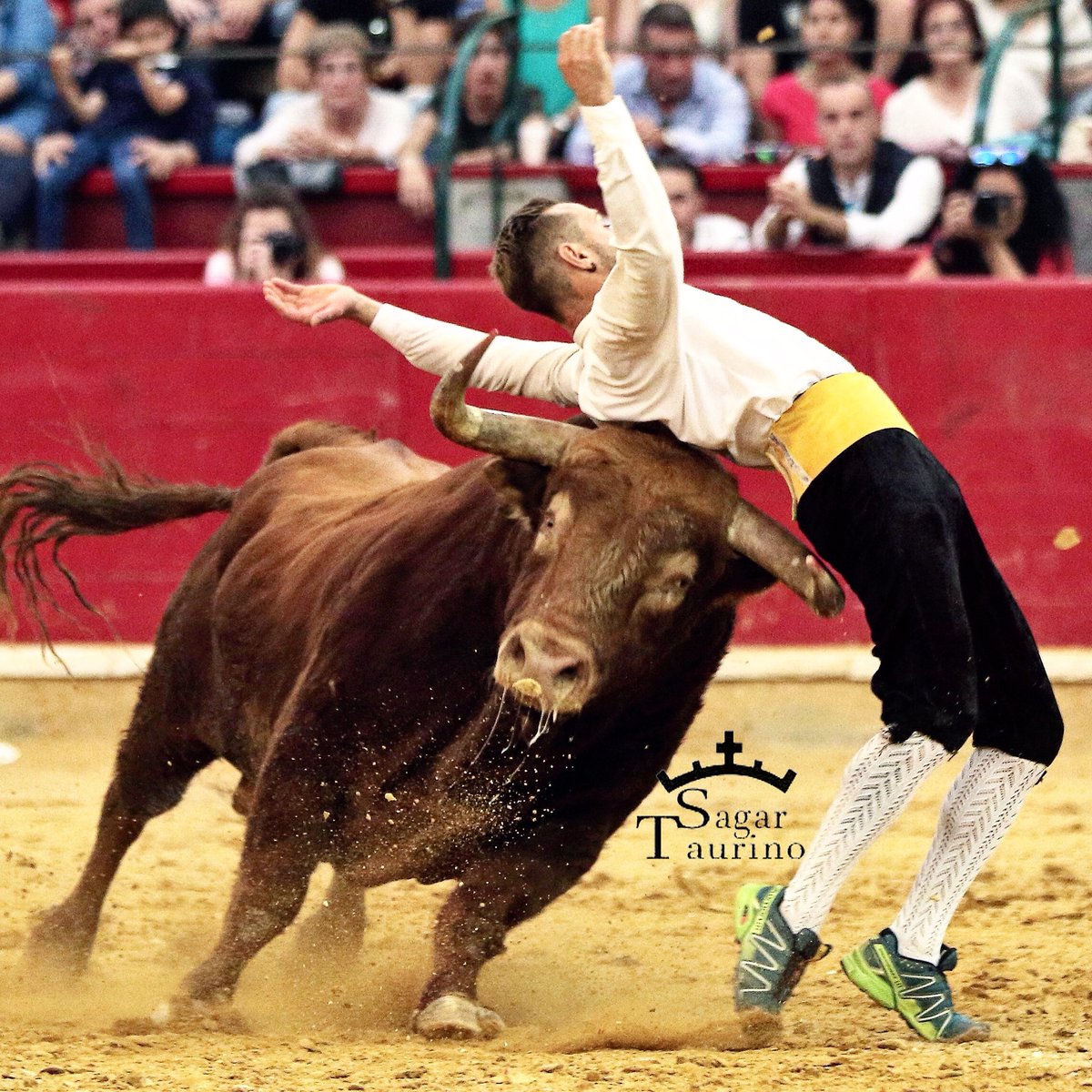 A_Sagar95's tweet photo. Viajazo de Pablo Martín “GUINDI”. https://t.co/HOYJV5g06I