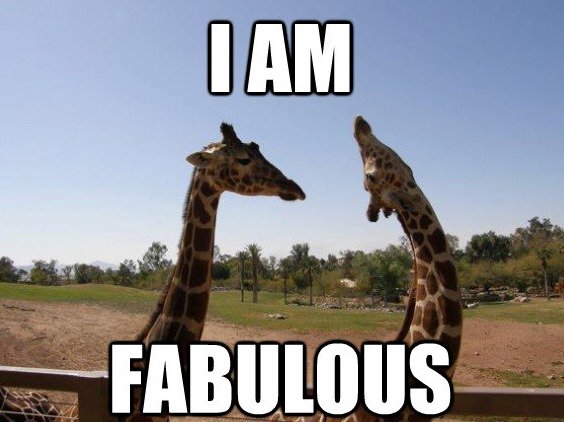 giraffe meme: I'm fabulous!