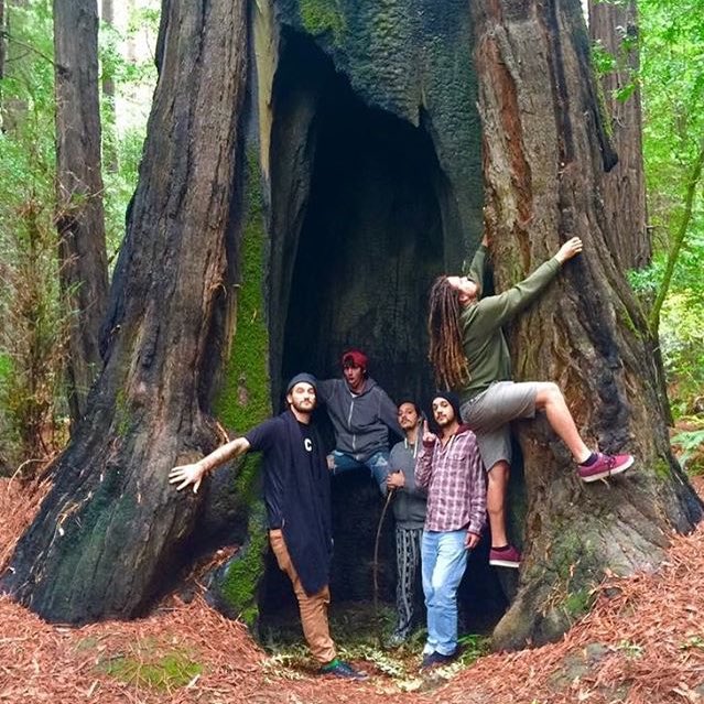 SOWFLO's tweet photo. 🎶 “It’s all i can say, as I’m crossing the divide -
The journey is divine,
And you are the finish line 🎵
.
.
.
#PNW #SolSeed #Hitchhiker #avenueofthegiants #SOWFLO https://t.co/fRqG2vUInY