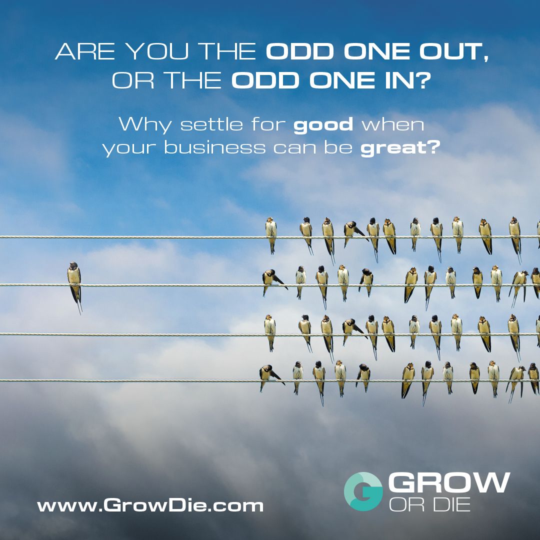 💡 #Business #Leaders - are you the odd one out or the odd one in? Read more> dbry.uk/2RFc0XA #GroworDie #Entrepreneur #Motivation #growth #scaleup #growthmindset #leadership #management #EOS