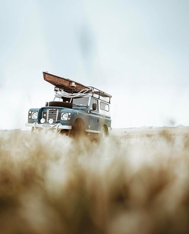 SaphoTheActivst's tweet image. #designwins