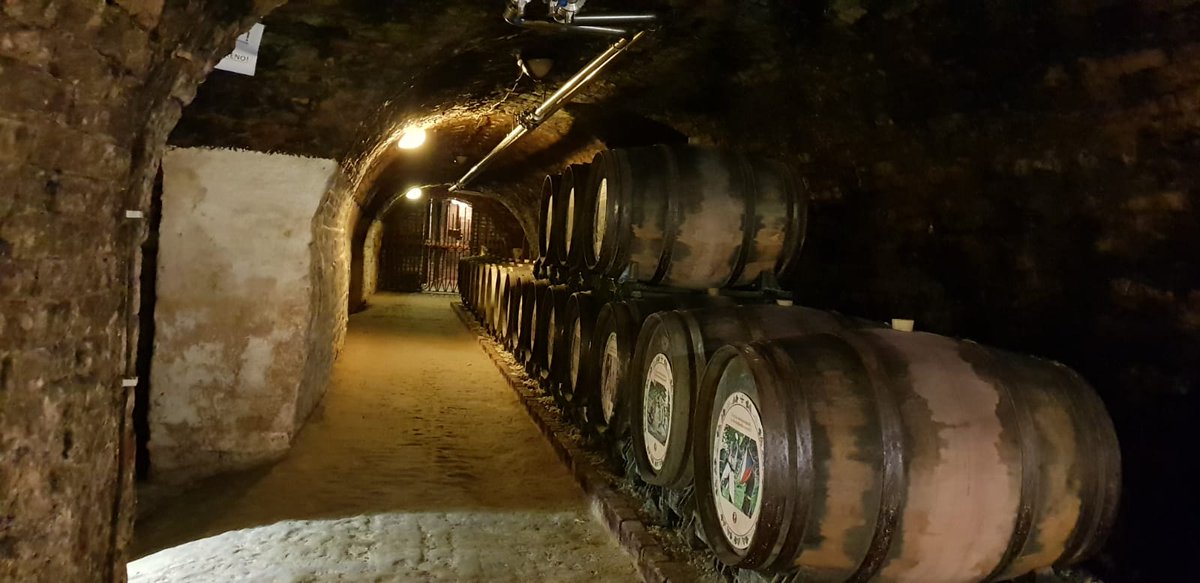 MonikaSefcikova's tweet photo. Čejkovice Templářske sklepy #Cejkovice #Czechia #Templar https://t.co/fr6vRrrKDR