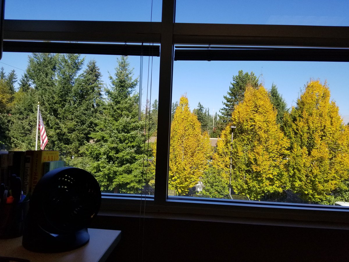 HartlineDavid's tweet photo. Quite a bit of green outside the new office window. https://t.co/tUWMne6ozD