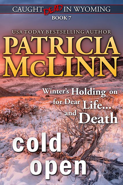 KKlawiter's tweet photo. Cover: "Cold Open" by Patricia McLinn https://t.co/y8SAe4Y4Uo #CoverReveal #coverart #BOOKCOVER https://t.co/eLVdZDFwPJ