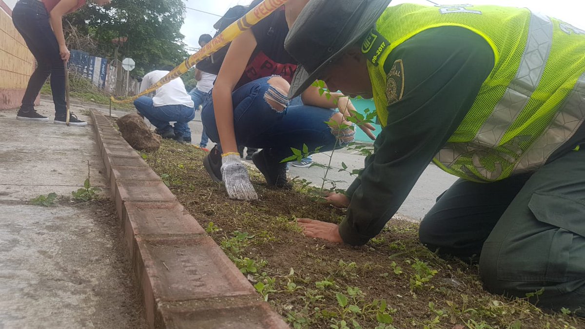JosePinerez's tweet photo. En #Cimitarra Se realizó jornada de ornato limpieza y siembra de 🌳🌳 como recurso vital de nuestro 🌎.#DiaMundialDelArbol @PoliciaStander https://t.co/vstpM2K2Xt