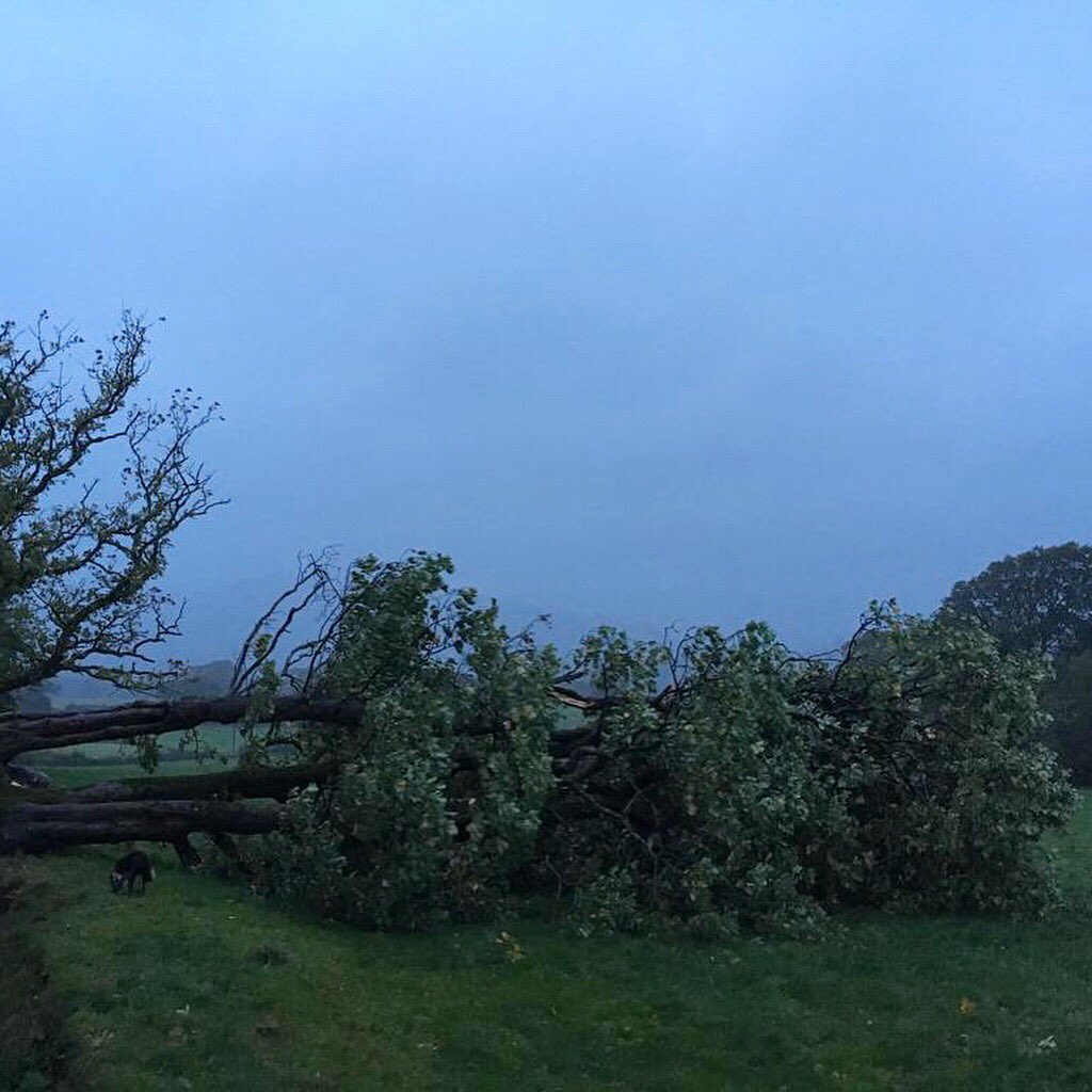 meganeleri's tweet photo. ⚠️🌧💨Bron i 100mm o law i #libanus a hyrddiadau yn agos at 80mya yn y gogledd-orllewin.Rhybudd oren o law i’r de tan nos fory.Llifogydd a thrafferthion ar y ffyrdd heno.Fyddai ar @S4Ctywydd yfory hefo’r diweddaraf ar daith ac effaith #StormCallum #s4c
📸Taliairs, #Llandeilo https://t.co/PjxRY9woGB