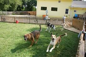 dabark11's tweet photo. Is doggie daycare good for dogs https://t.co/PdMDjGiIYO https://t.co/8UhhNTqHX8
