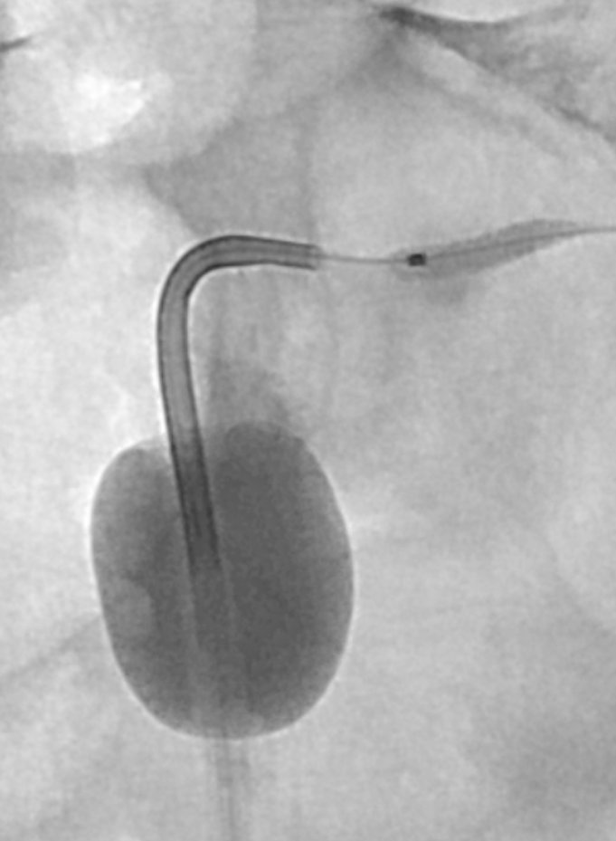 Kumar Madassery tweet media