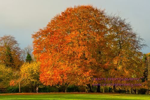 Hey @NevilleSouthall your twitter page is great, any chance of you retweeting another good cause & petition? #liverpoolcouncil want to build on #CalderstonesPark saying it’s not part of the park, which is bollocks change.org/p/save-calders… otherwise this view will disappear