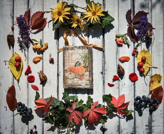 NikolsWorld's tweet photo. Autumn rustic small sign with pumpkin, primitive autumn decor, wall decor, fall door sign, primitive decor, rustic sign, home decor #DecoupagedDecor #WallDecor #RusticHomeDecor #SmallHanging #pumpkin #WallHanging #AutumnDecor #RusticDecor
β€ https://t.co/GKLhewGXXe
via @outfy https://t.co/su8tzcXDLN