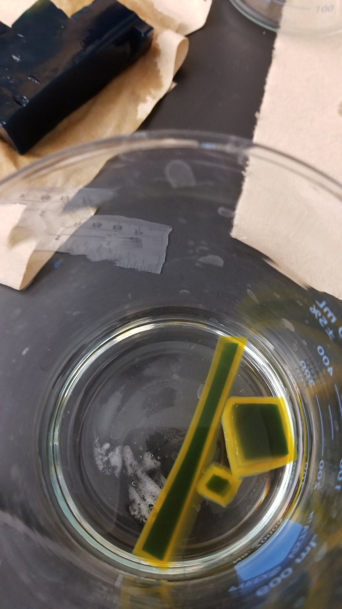 Lipenta_Bio's tweet photo. Off to the cell size races we go in #apbio! What is the best cell shape for largest mass to diffusion rate? Why? #umhslearns https://t.co/woZk05k43e
