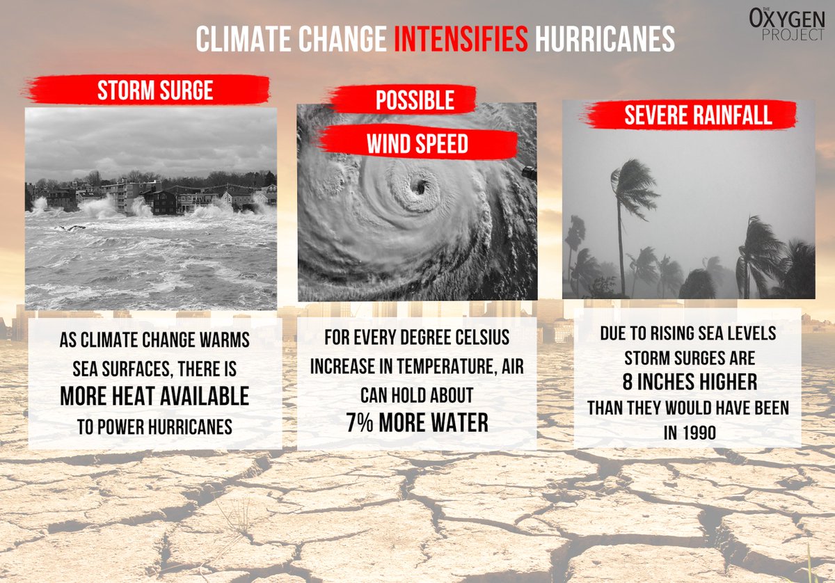 TheOxygenProj's tweet photo. This years surge of environmental disasters are a product of our changing climate and we are only beginning to understand the magnitude of these changes.
#theoxygenproject #protectourplanet #naturaldisaster #hurricanemichael #hurricaneseason #tropicalstorm #climatechange https://t.co/fr8J5JRkdz