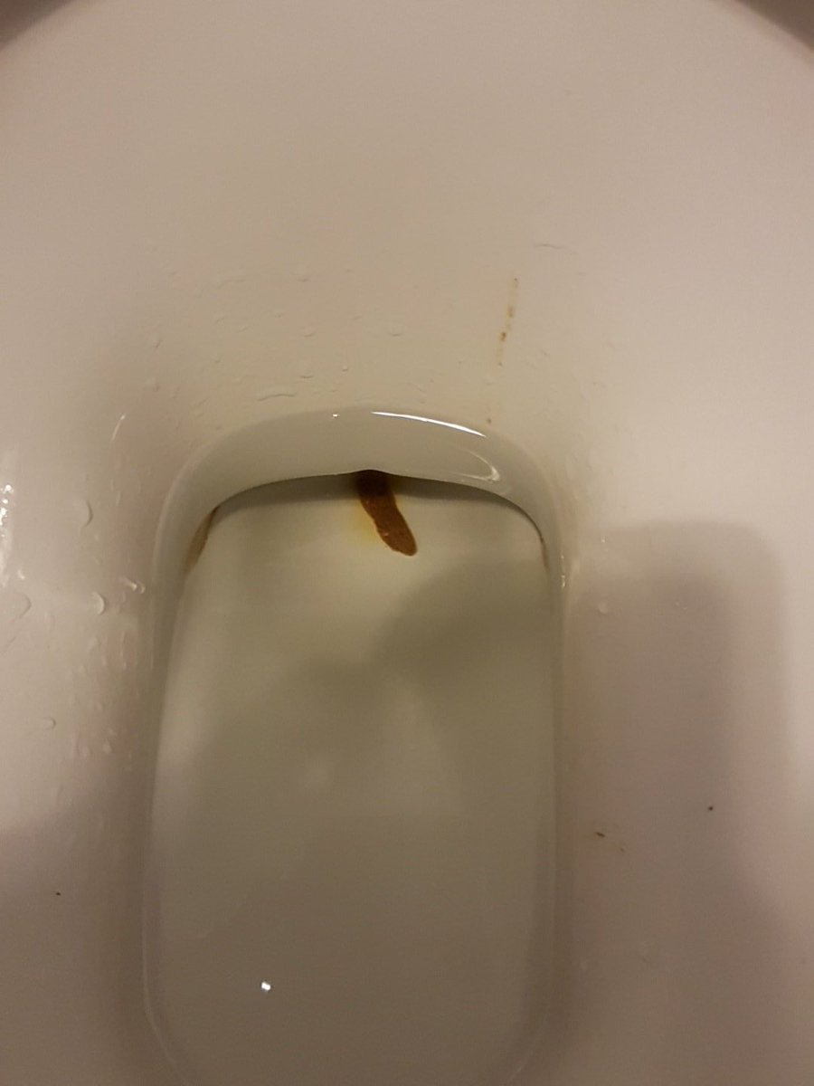 day_poop's tweet photo. Wow midget poop. Pooping pointless https://t.co/GJRDpCgu9Q