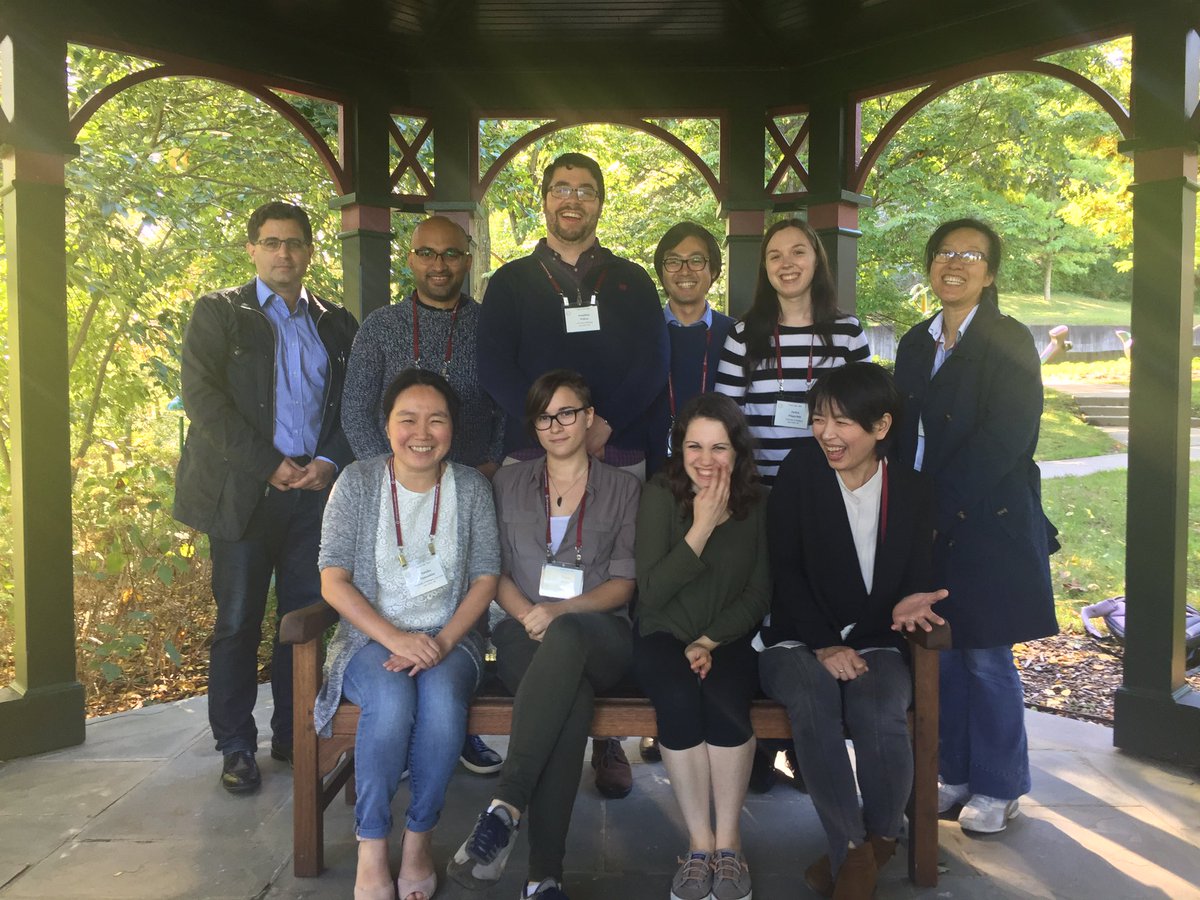 Yukiko M. Yamashita tweet media