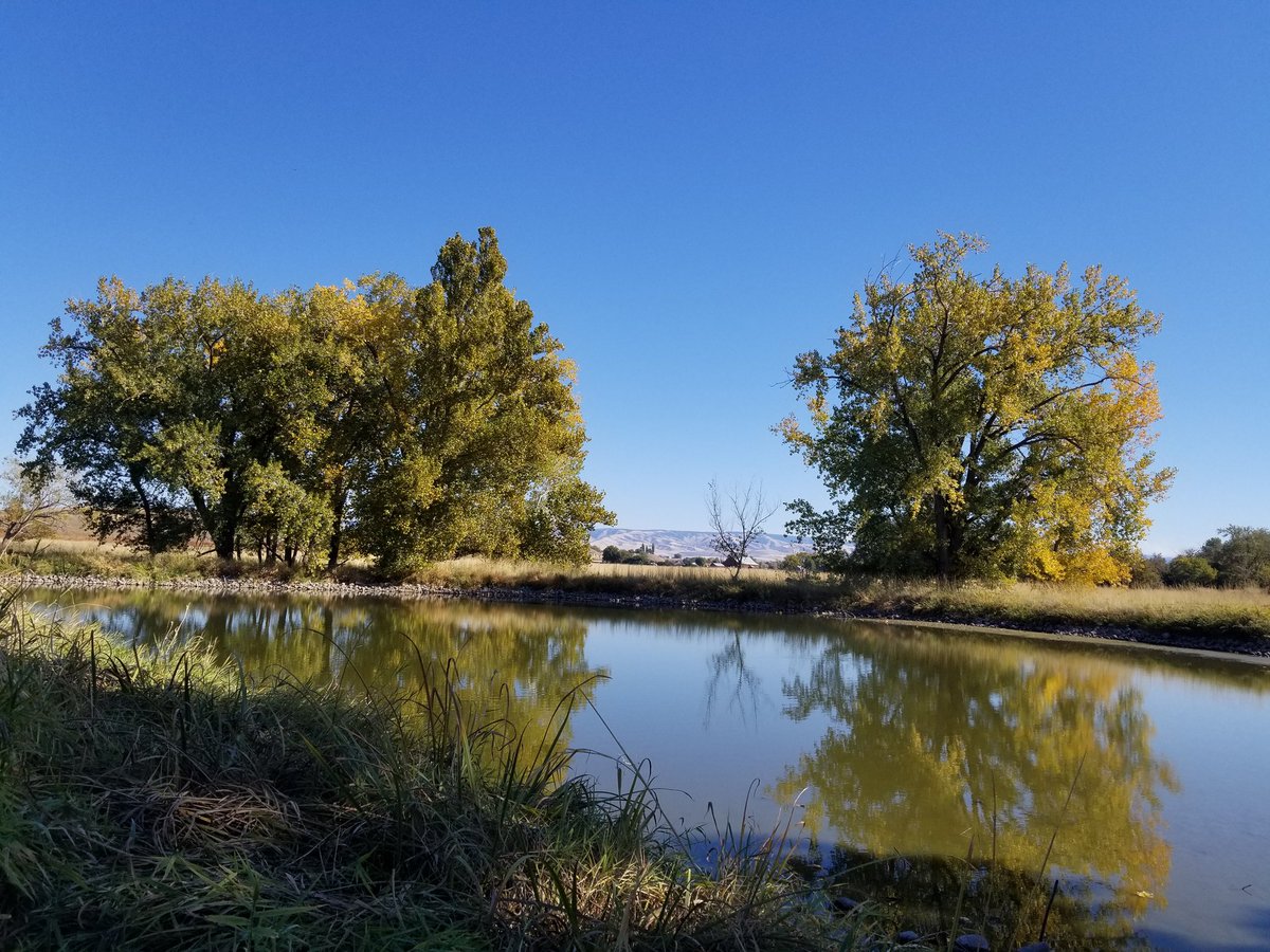 ParkRangerJohn's tweet photo. Exploring Whitman Mission National Historic Site today in Walla Walla, Washington.
#findyourpark #nps #nationalpark https://t.co/ael2Pr2TJh