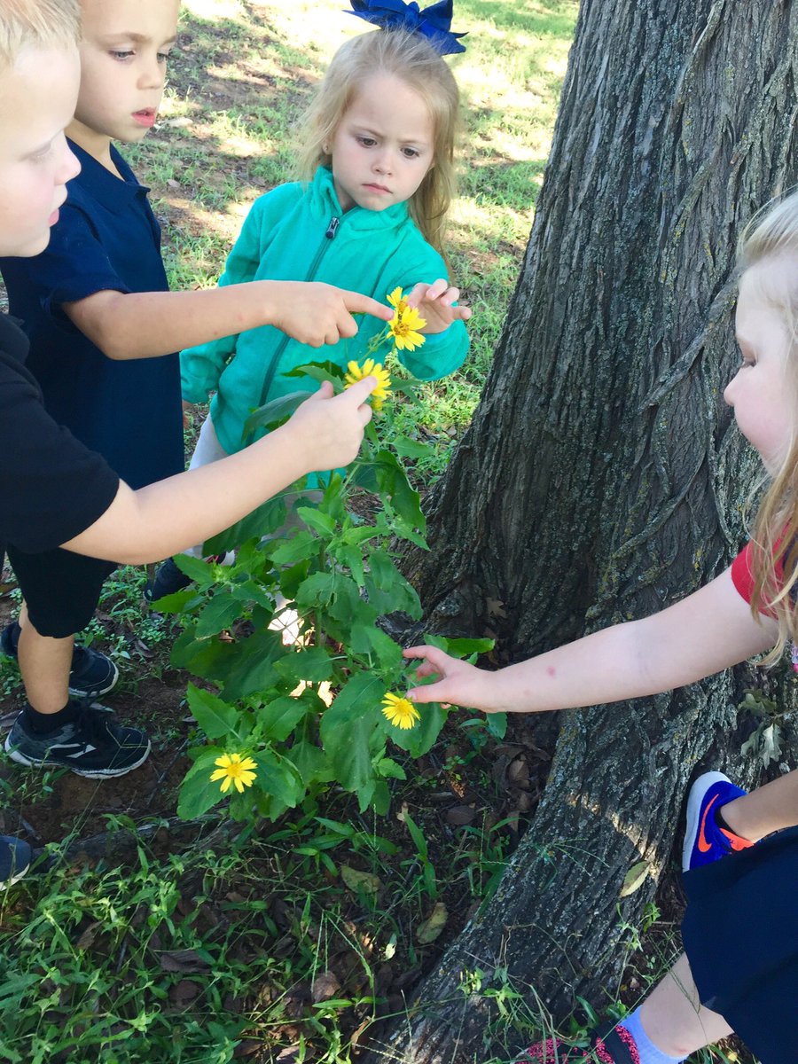 ash_douglass's tweet photo. Exploring objects in nature and discussing their properties:)
#WeAreStribling 
@striblingstars https://t.co/qIv80sHO7U
