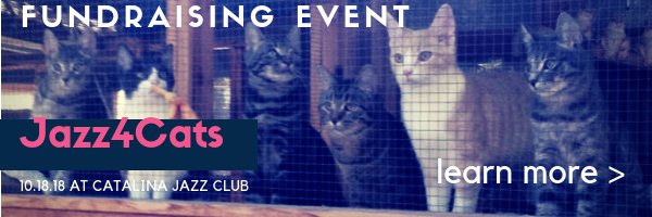 EdVodicka's tweet photo. Jazz4Cats fundraiser at CATalina Jazz Club in Hollywood.  Help save cats and enjoy great jazz with the Ed Vodicka Quartet &amp; guests Gene Cipriano, Nolan Shaheed, Judy Wexler &amp; Cat Conner.  Kirk Smith/bass, Kendall Kay/drums &amp; John Chiodini/guitar Oct 18th. https://t.co/VRfKGH4cLc https://t.co/Gr7URStHxZ