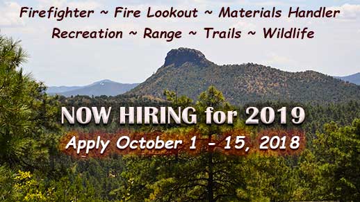 PrescottNF's tweet photo. NOW HIRING temporary workers for the 2019 field season on @PrescottNF and all National Forests in AZ & NM! https://t.co/fSxgdhlCq1 #ForestServiceJobs #ApplyNow https://t.co/Z1P91bNscW