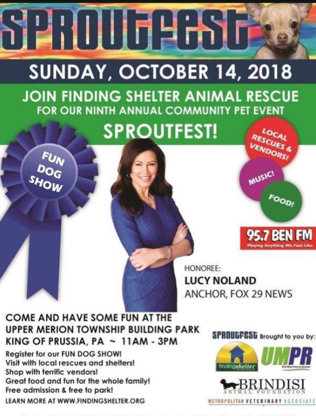 Ariana_Activist's tweet photo. If you are in the area, take a trip to #sproutfest this weekend & meet some amazing people who work hard for canine welfare, including @VictoriaS @marcthevet & @LucyNolandFOX29 This is a free family event & fun day out πͺ #usa #rescue #AdoptDontShop #puppymills #dogs https://t.co/Lc9YuV8Kf3