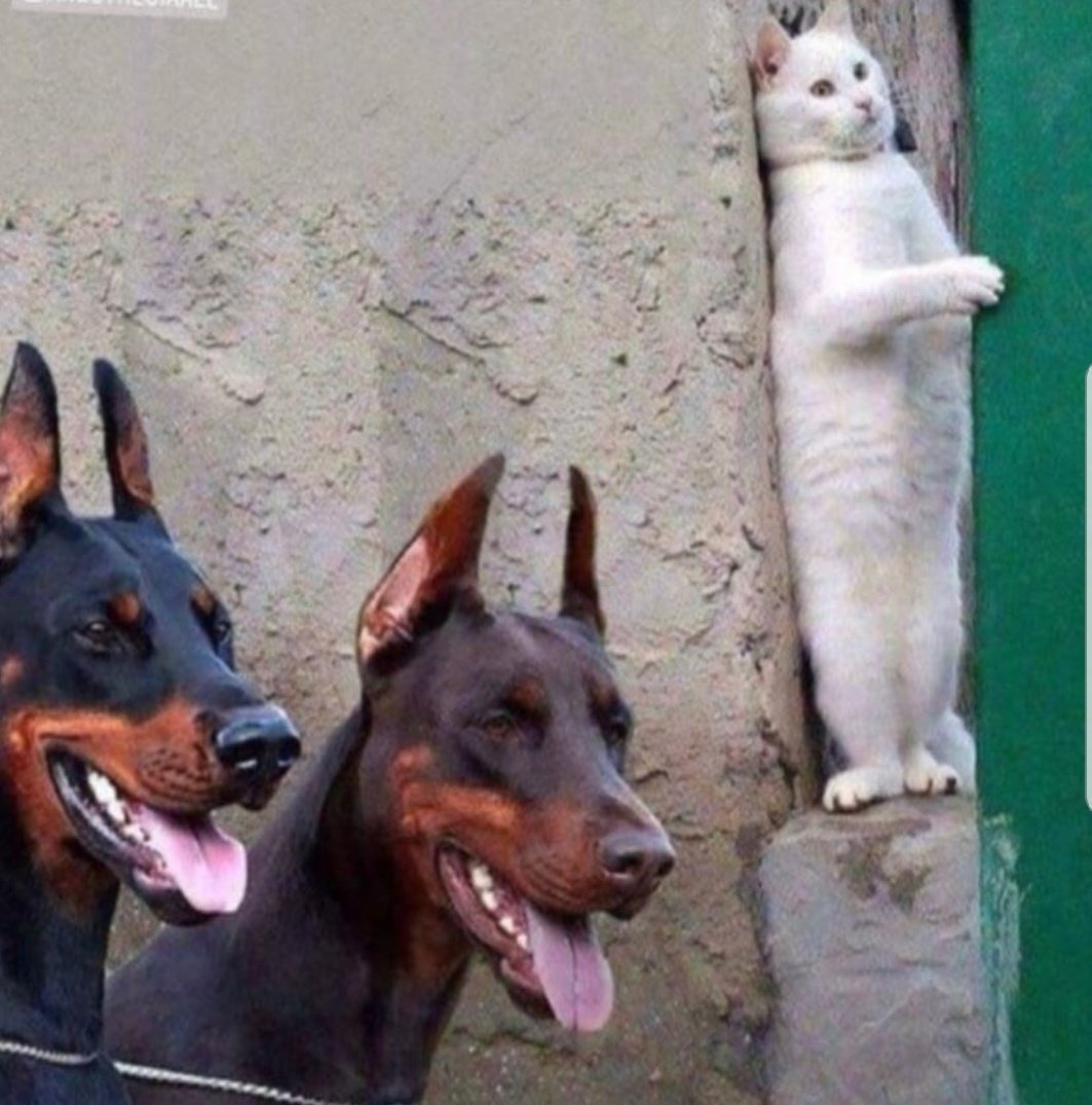 Pas cuti tapi masih dicariin vendor, be like :