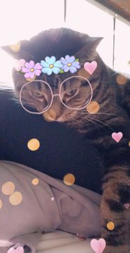 Посмотреть изображение в Твиттере