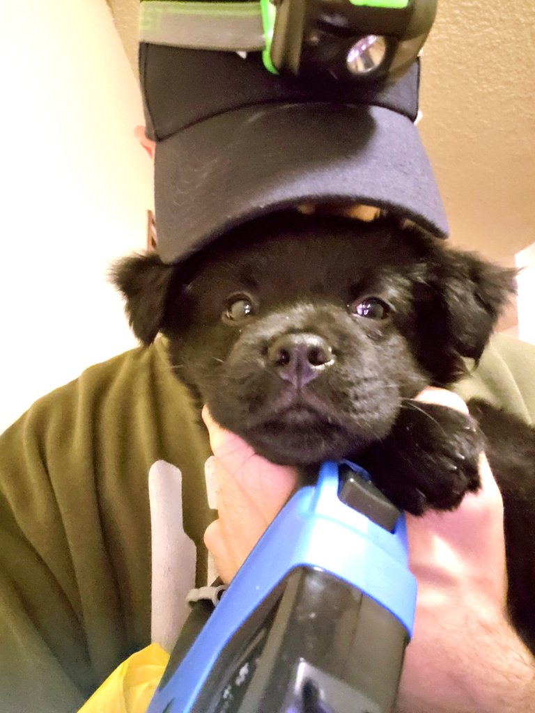 Noam Blum tweet media