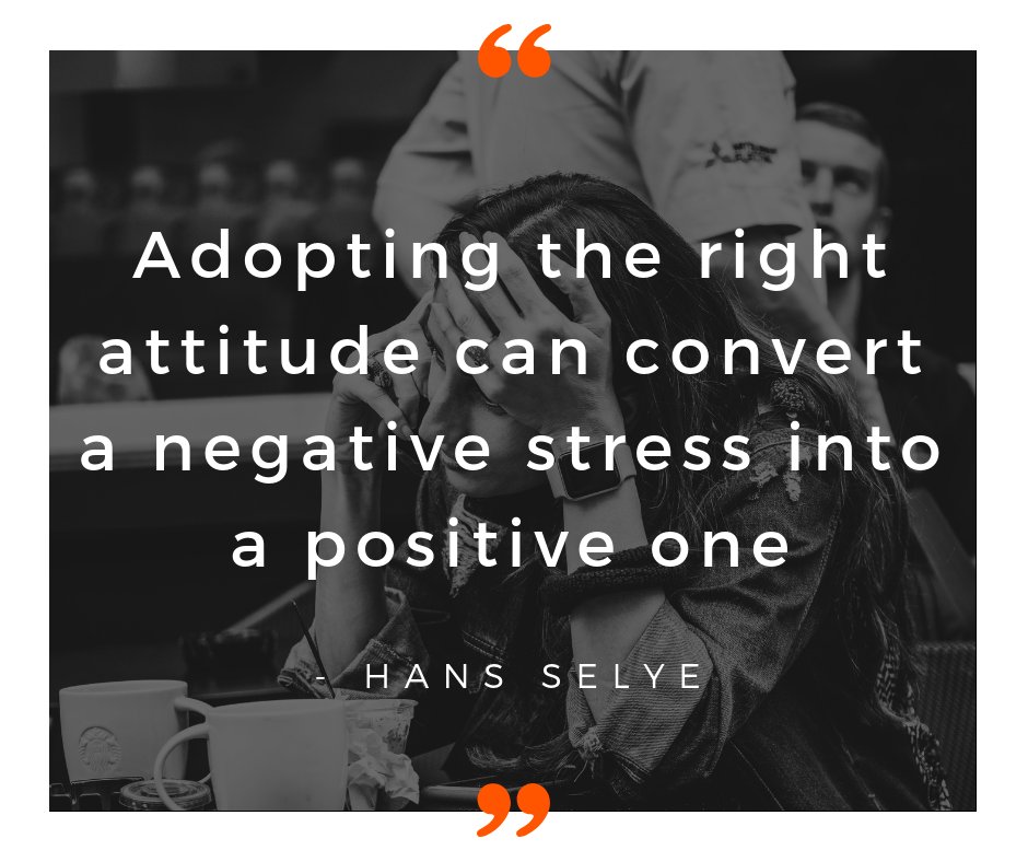 Elephant & Co. tweet media