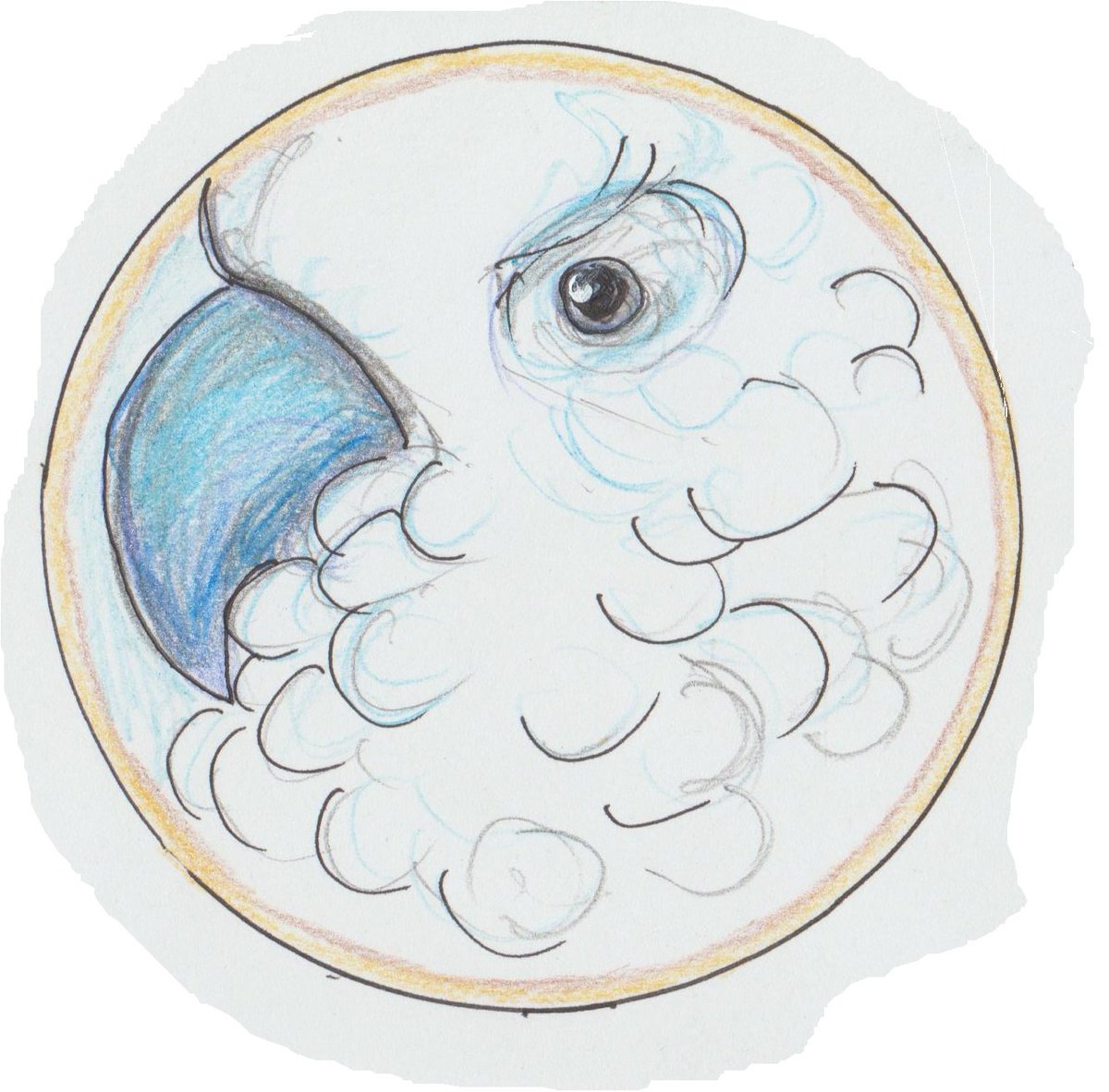 AuntAndieBlog's tweet photo. I spy..... a Cockatoo? Get out of the way Pidgie! #colour_collective
I'm calling it #bluejeanblue because I cannot remember what they called it. https://t.co/kLRkm0E11f