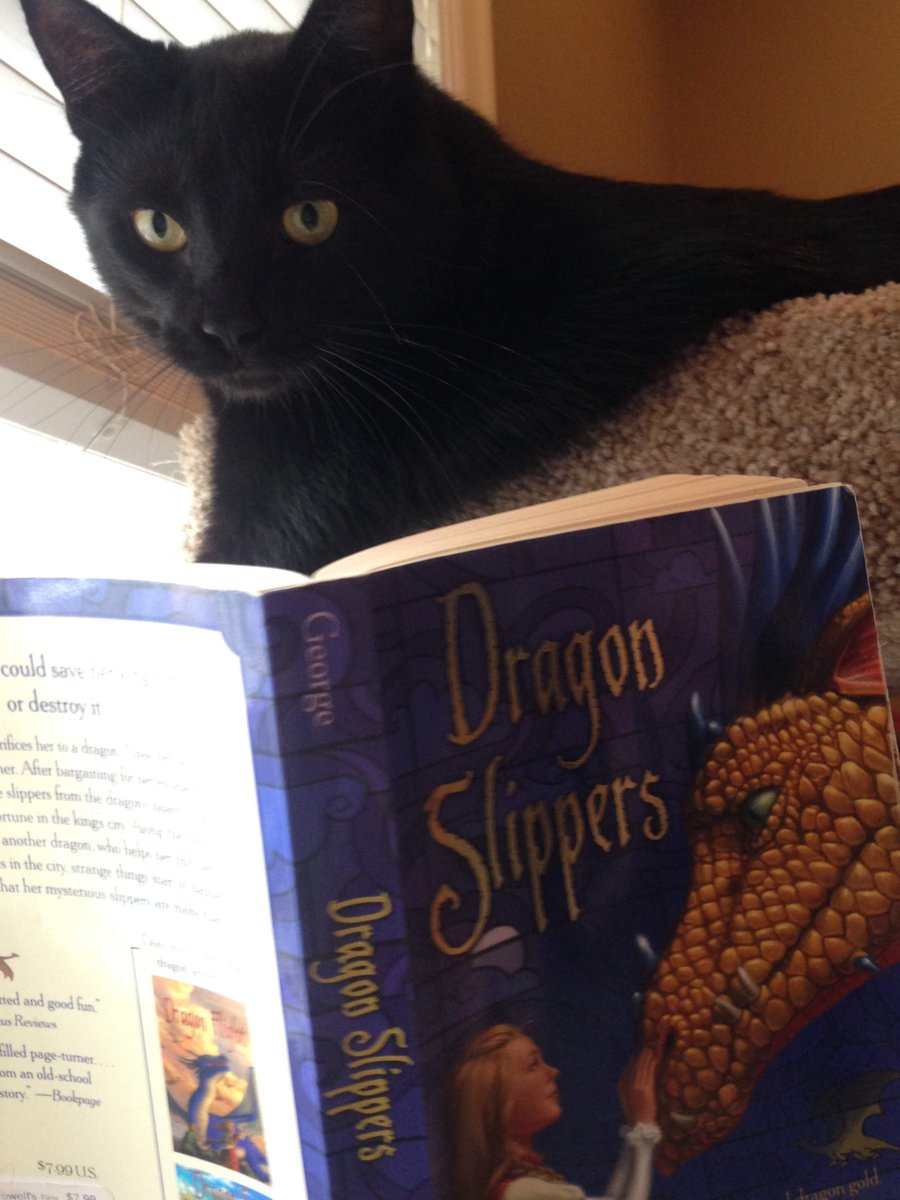 Dragon Slippers by @JessDayGeorge is brimming with all the good stuff:  a brave heroine, cool dragons, an evil villain, and a kingdom that needs saving. Purr-fect!

Read more: literarycats.com/blog/dragon-sl…

#childrensbooks #childrensbookreviews #kidsbooks #kidsbookreviews #dragonbooks