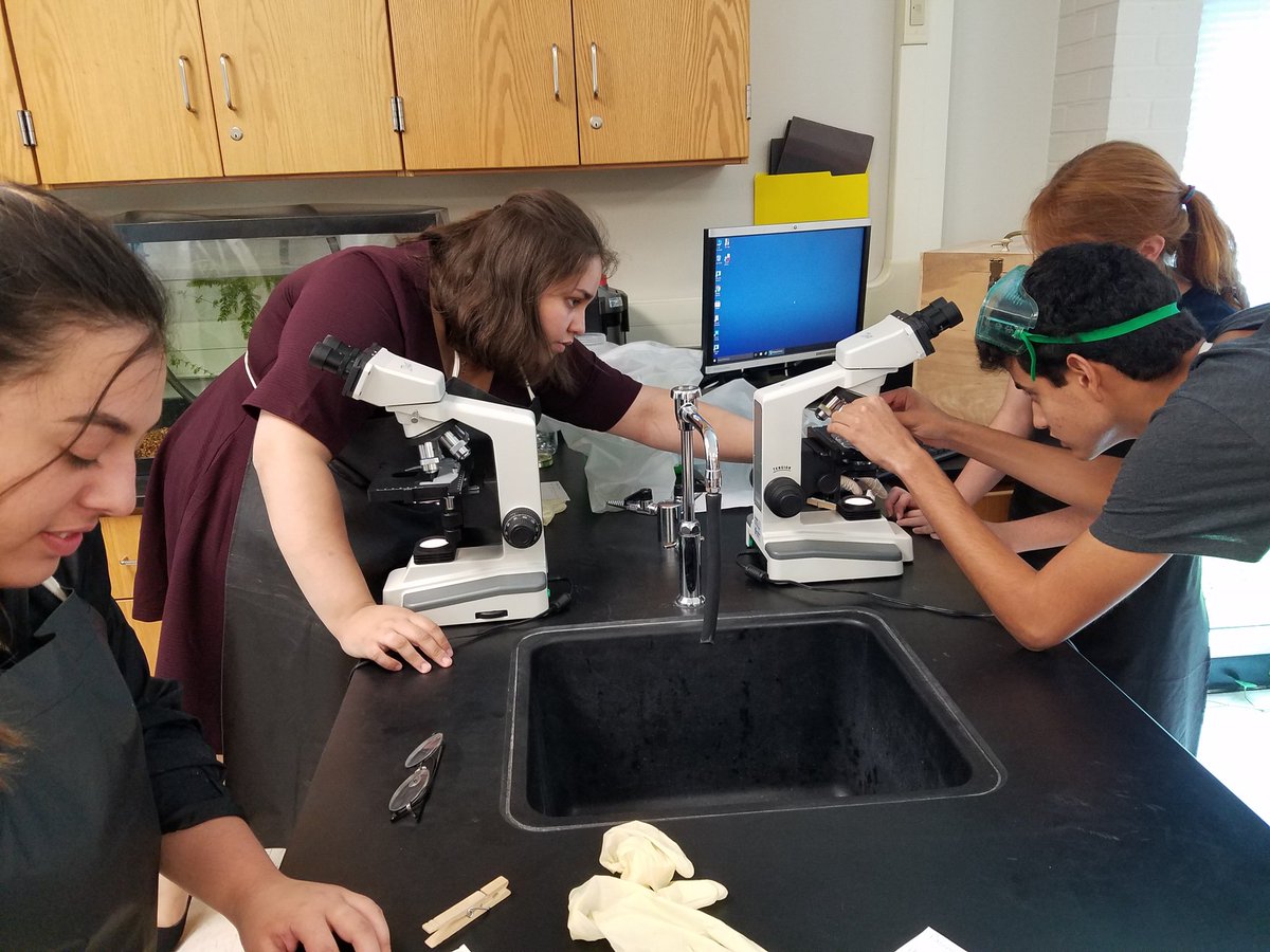 nucleicpower's tweet photo. Negative staining is my favorite, thanks Micro. @NISDJay @NISDHS_Science #NISDsuperiorCTE https://t.co/fxQ4EFQnLq