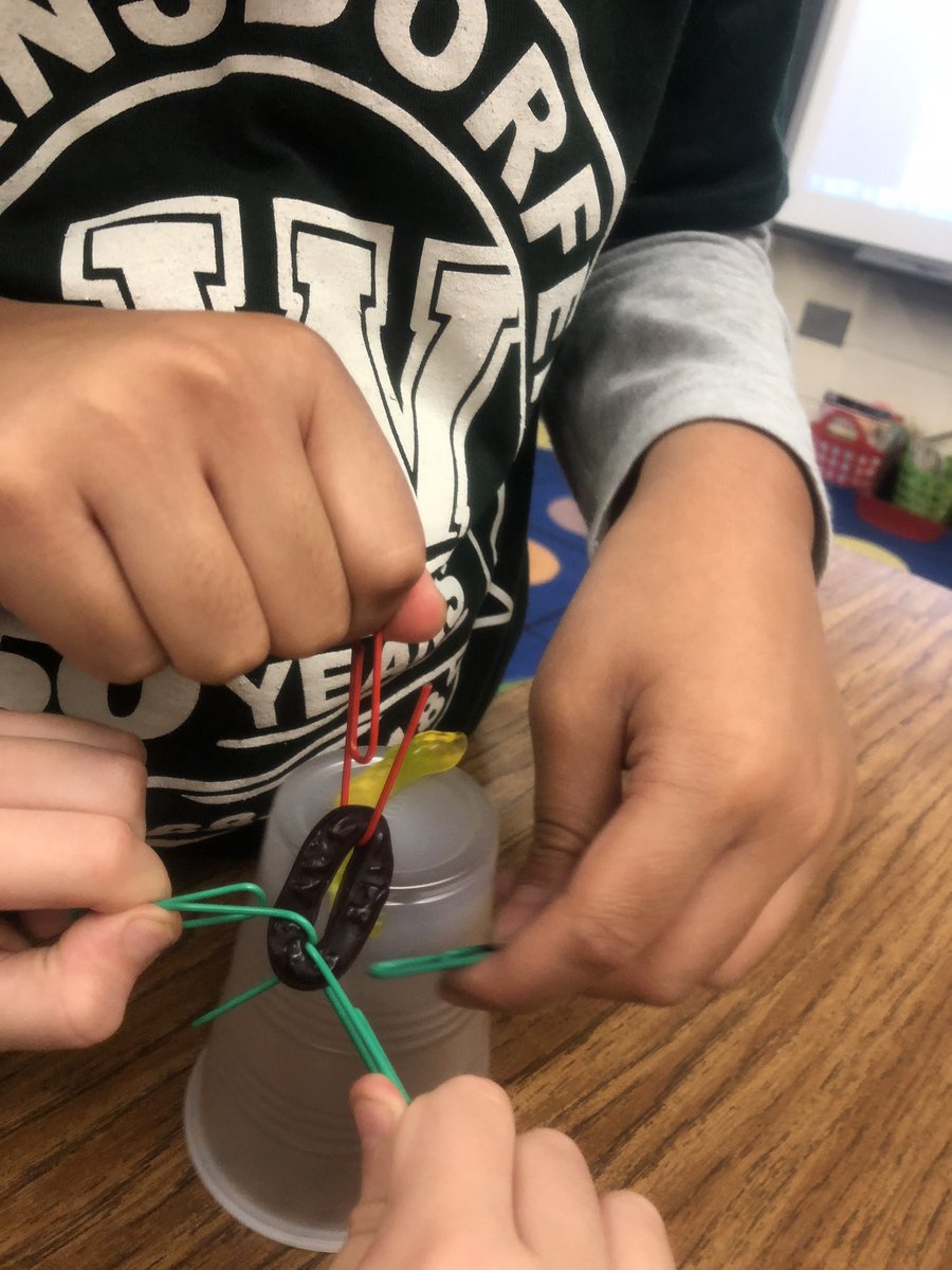 Jennifer L Traversone tweet media