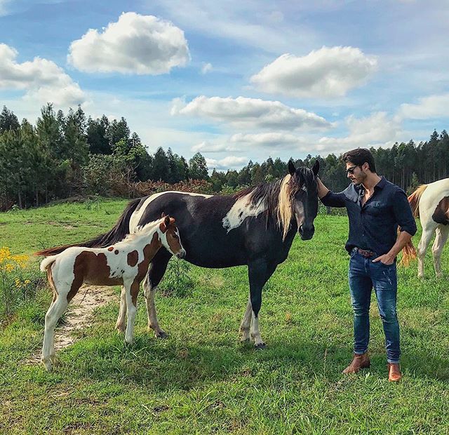 IamBrunoCastelo's tweet photo. #Farm #campo #potrinho #horse #cavalo #natureza #ArmaniJeans #PaintHorse #Jaguariaíva #Paraná https://t.co/NCOlGFN4GF