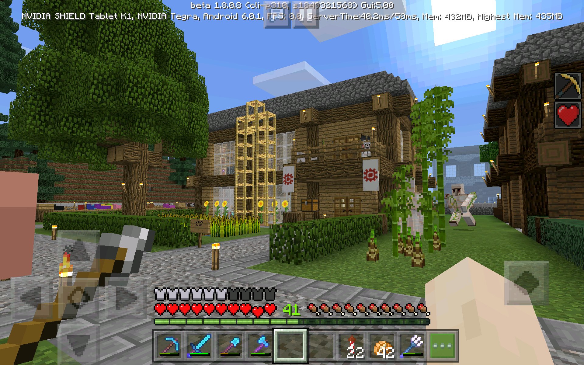 Minecraft Survival World