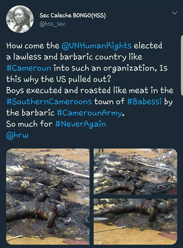<a href="/PaulKagame/">Paul Kagame</a> President Kagame, your country underwent a genocide and we all thought you would be the first to fight against it in Southern Cameroons whilst Chairman if the African Union, but you turned a shameful blind eye. Have you finally joined the evil French club of bloodsuckers? God!!!