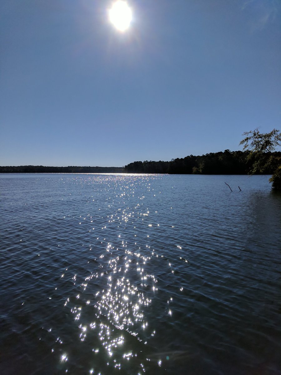 _jkwilliams_'s tweet photo. High school fishing team practice today on Lake Martin. Getting ready for the big tournament next weekend. #asabfa #branglers https://t.co/pWu7D2Y0DX