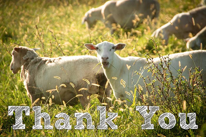 Happy #NationalFarmersDay! We’re grateful every day to the amazing farmers who work so hard to feed us and steward our working lands. Meet A Greener World’s certified producers across the U.S. and Canada--and thank one yourself! agreenerworld.org/get-involved/m…