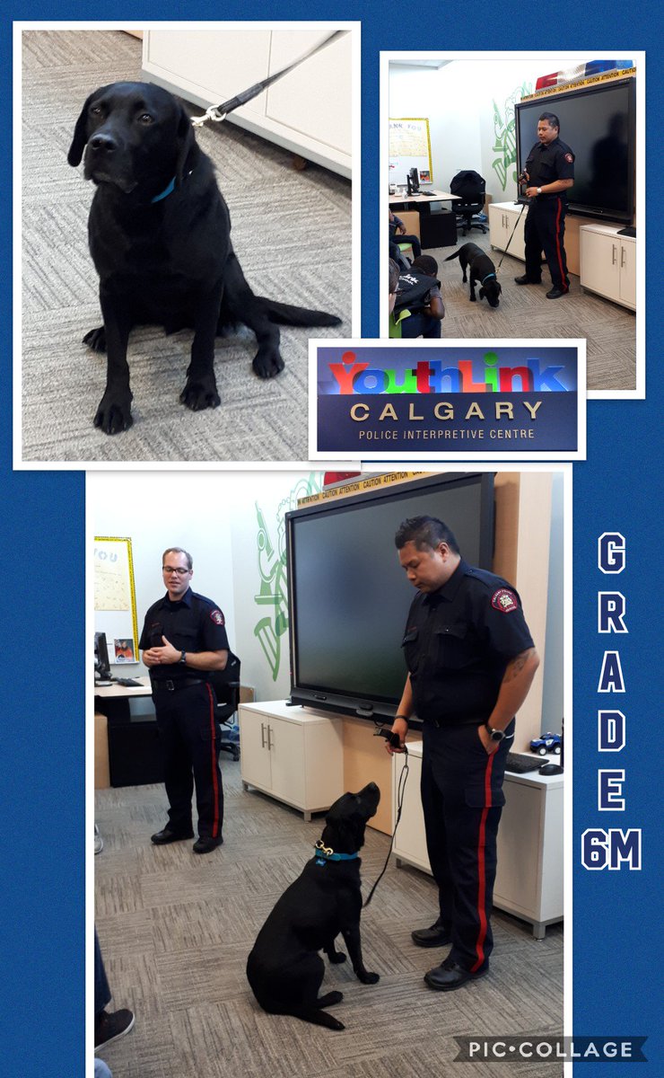 MNASchool's tweet photo. Grade 6M Field Trip @YouthLinkYYC Police Interpretive Center
-Meeting retired Calgary Police Service Dog- 'Riggs'
-Police Museum
#gradesixscience
@CCSD_edu https://t.co/CQ4LC7vh2Z