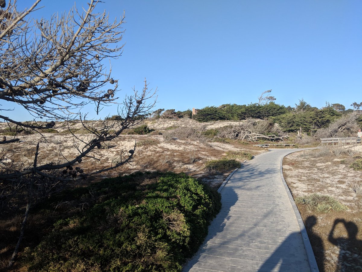 Good bye, Asilomar! #iswc2018 #iswc_conf #asilomar