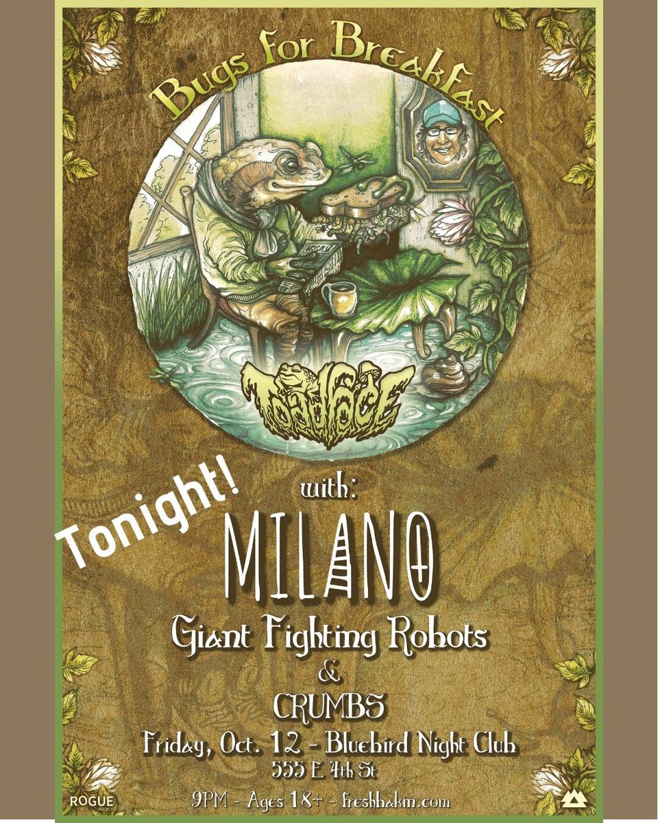 meltingdragon's tweet image. wooo! this little toad is a happy camper!!! 🐸🔥💚🙌🏻🙏🏻 melting pot has tickets for 20$!! #toadface #bluebird #hypesquad @freshbakin