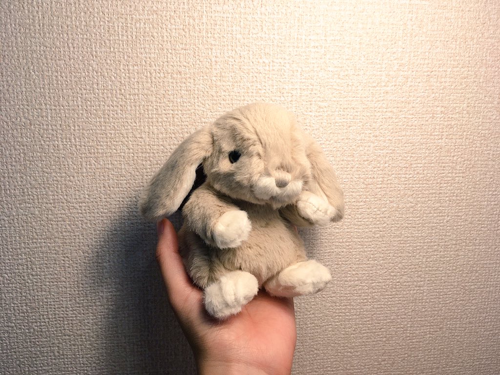 re_cuna_'s tweet photo. 手乗りうさぎᙏ̤̫͚
#BUKOWSKIdesign #ブコウスキー #BUKOWSKI #ぬいぐるみ https://t.co/n6HIJylw9l