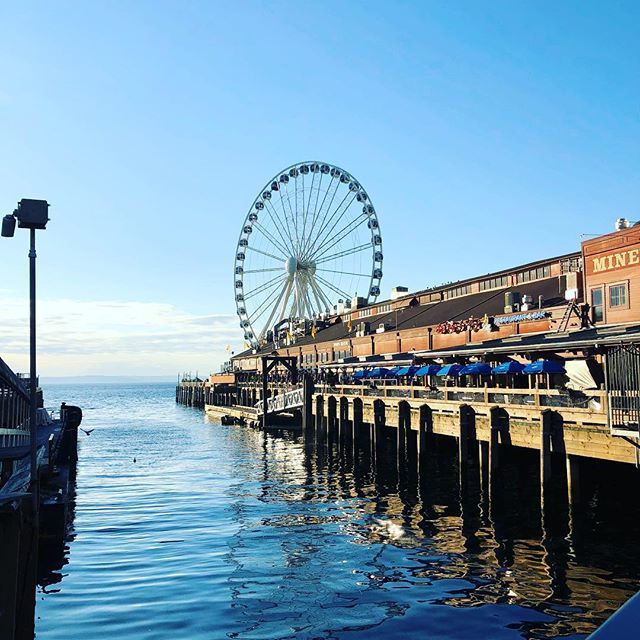 lifestylist's tweet photo. I’m falling in love with #Seattle #travel #ldei18 #lifestylistlist #dallasdames #ldei https://t.co/cNixh1cbho https://t.co/eA8aIHwFTu