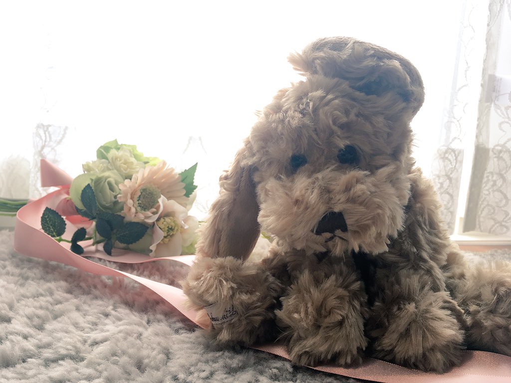 re_cuna_'s tweet photo. 犬のぬいぐるみがやって来て、にぎやかになりました🐶
ステキな1日をお過ごしください(∩^o^)⊃━☆°.*・。
#BUKOWSKIdesign #ブコウスキー #BUKOWSKI #ぬいぐるみ https://t.co/74WvcVtsSX