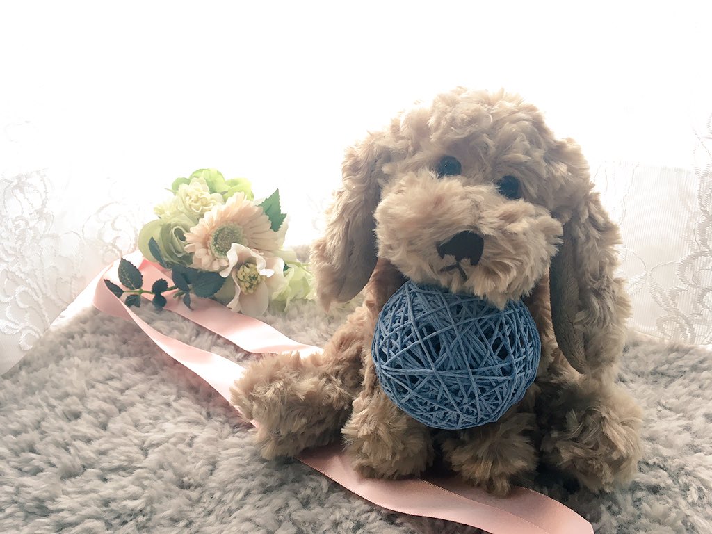 re_cuna_'s tweet photo. 犬のぬいぐるみがやって来て、にぎやかになりました🐶
ステキな1日をお過ごしください(∩^o^)⊃━☆°.*・。
#BUKOWSKIdesign #ブコウスキー #BUKOWSKI #ぬいぐるみ https://t.co/74WvcVtsSX