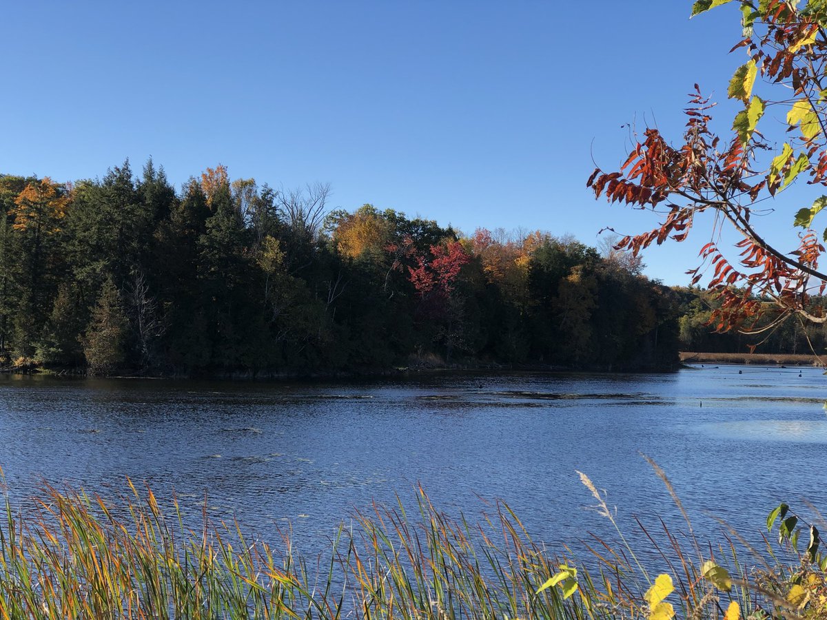 Bryan_S_Ash's tweet photo. When summer leaves, I see red. https://t.co/SLzq1BINjF
