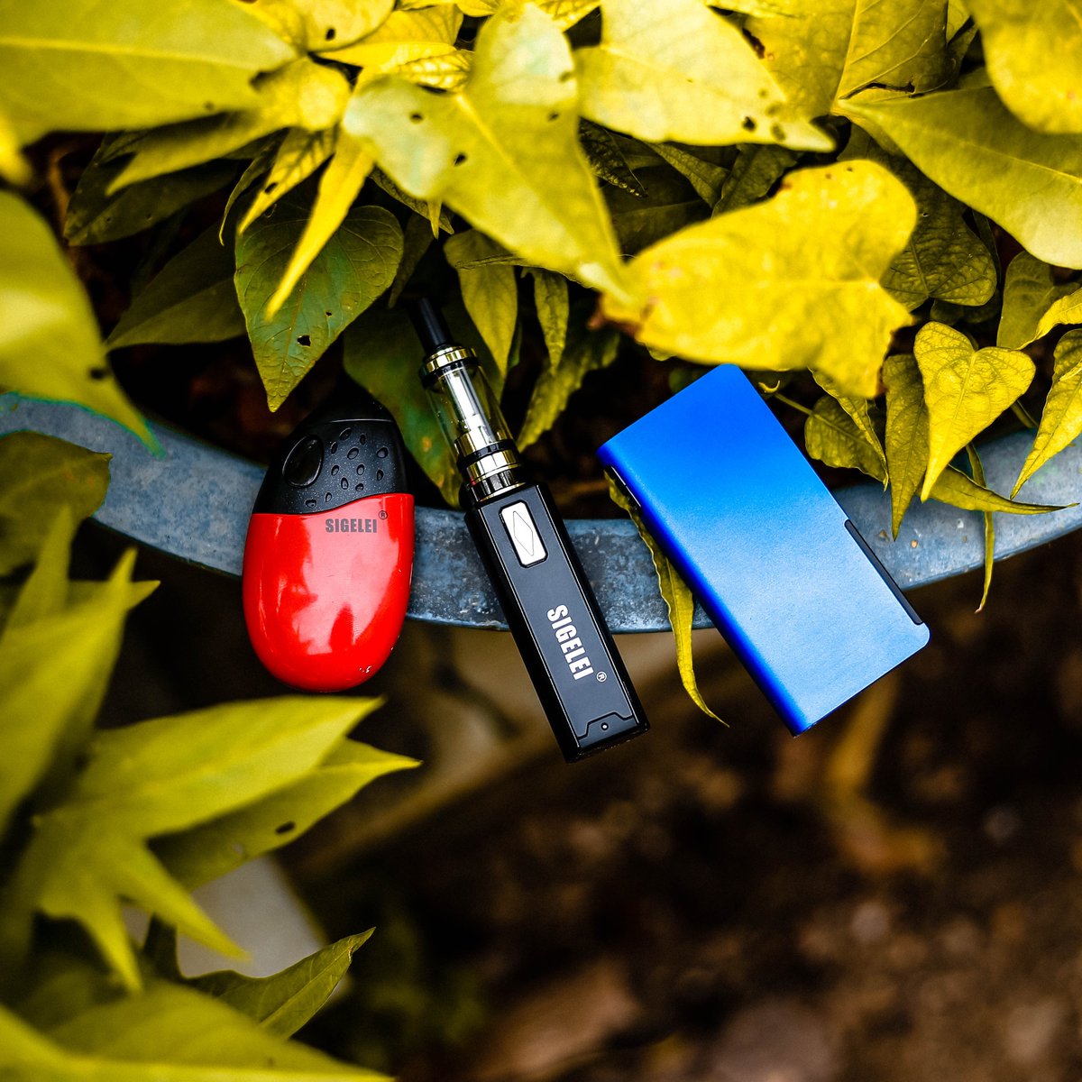 Sigelei starts kits
Which one is your favorite？
order:sigelei.store.com                                                                                    
#vape #vapelife #vapeporn #ecig #vapelove #vaper #vapefriends #dripclub #vapefamous #westcoastvapers #sigelei